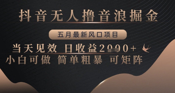 抖音无人撸音浪掘金，五月最新风口项目，当天见效，日收益多张，小白可做简单粗暴可矩阵【揭秘】-创业吧