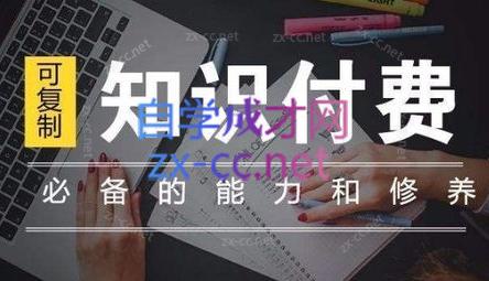 君哥·IP合伙人知识付费虚拟项目(更新24年6月)|南巷学社