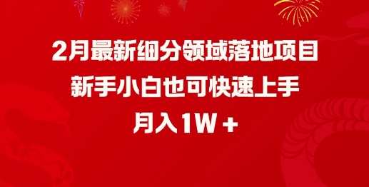 2月最新细分领域落地项目，新手小白也可快速上手，月入1W-创业吧