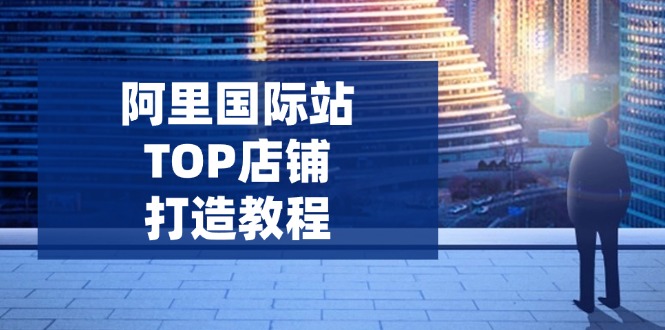 阿里国际站TOP店铺打造教程：涵盖平台到高阶，解决运营难题，提升询盘-创业吧