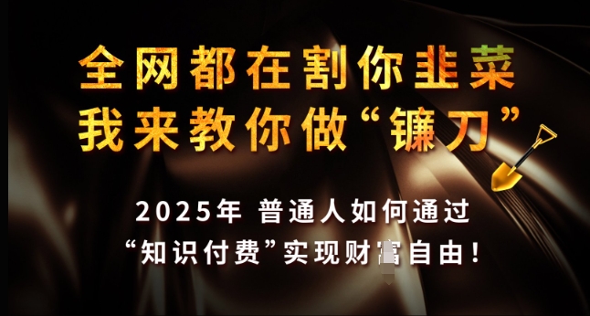 全网都在割你韭菜，我来教你做镰刀，2025年普通人如何通过 知识付费 实现财F自由【揭秘】-创业吧