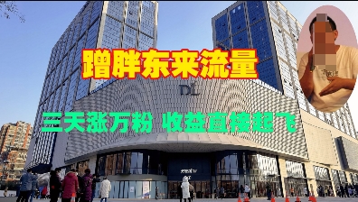 蹭胖东来流量，三天涨万粉，收益直接起飞-创业吧