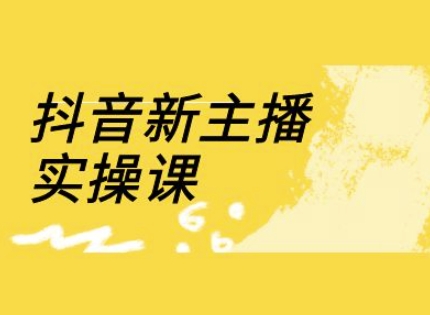 抖音新主播实操课，直播间流量运营线上实操课(18节)-创业吧