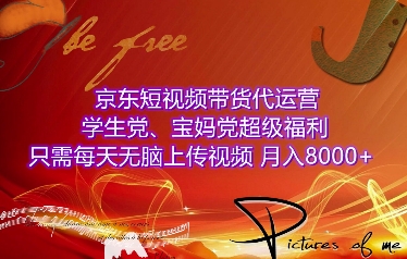 京东短视频带货代运营，学生党、宝妈党超级福利，只需每天无脑上传视频，月入8000+【仅揭秘】-创业吧