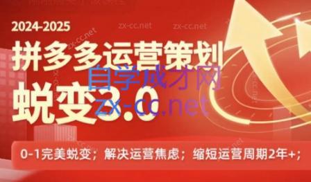 大力老师·2024拼多多运营策略蜕变3.0|南巷学社