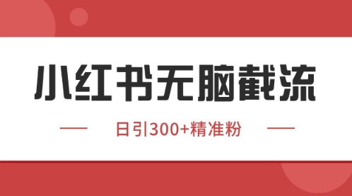 小红书只要你有同行就能获客，独家野路子获客玩法，暴力截流【揭秘】-创业吧