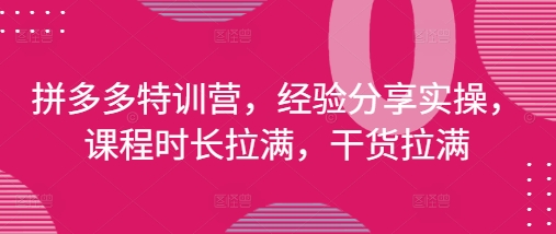 拼多多特训营，经验分享实操，课程时长拉满，干货拉满(更新25年4月)-创业吧