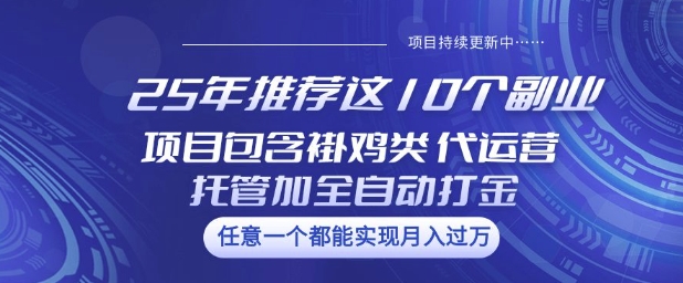 25年推荐这10个副业项目包含褂鸡类、代运营托管类、全自动打金类【揭秘】-创业吧