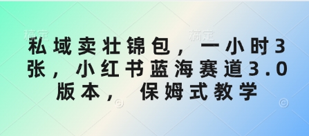 私域卖壮锦包，一小时3张，小红书蓝海赛道3.0版本， 保姆式教学-创业吧