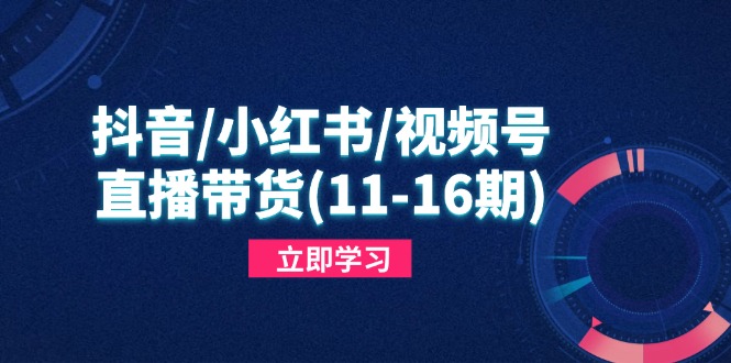 抖音/小红书/视频号/直播带货(11-16期-创业吧