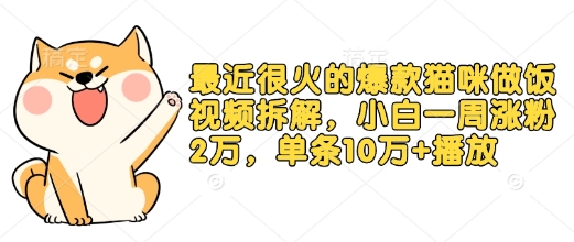 最近很火的爆款猫咪做饭视频拆解，小白一周涨粉2万，单条10万+播放(附保姆级教程)-创业吧