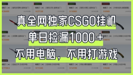 真全网独家CSGO挂G，单日捡漏1k+【揭秘】-创业吧