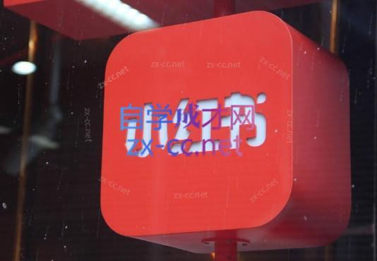 伊伊·红薯【高级班】运营课|南巷学社