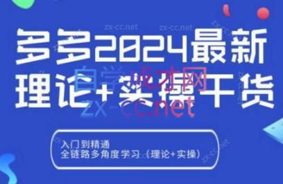 拼多多2024最新规则理论结合实际的干货|南巷学社