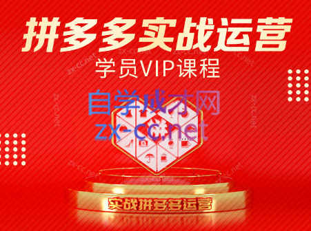 推易电商·拼多多实战运营课(更新2025月)|南巷学社