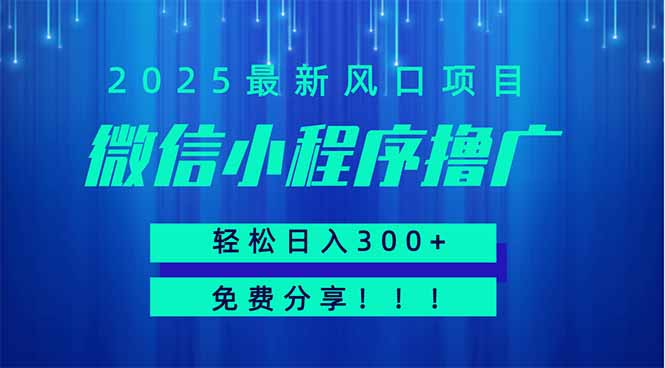 微信小程序撸广，最新风口项目，日入300+ 免费分享 可批量操作 小白可…-创业吧
