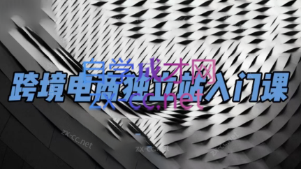 团长·跨境电商独立站入门课(2小时精华)|南巷学社