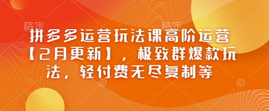 拼多多运营玩法课高阶运营【2月更新】，极致群爆款玩法，轻付费无尽复制等-创业吧
