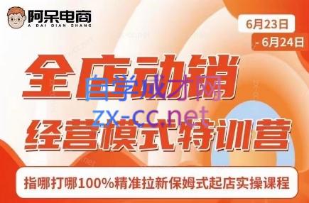 阿呆电商·全店动销经营模式特训营(线下录音+思维导图)|南巷学社