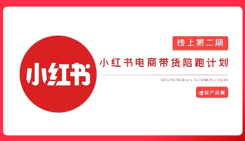 2025小红书虚拟电商实战课|南巷学社