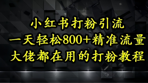 小红书打粉引流，一天轻松500+精准流量，大佬都在用的打粉教程-创业吧