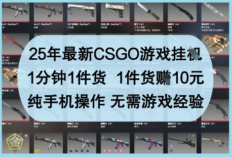 25年最新CSGO游戏挂G，1分钟1件货，1件货挣10元，纯手机操作，无需游戏经验【揭秘】-创业吧