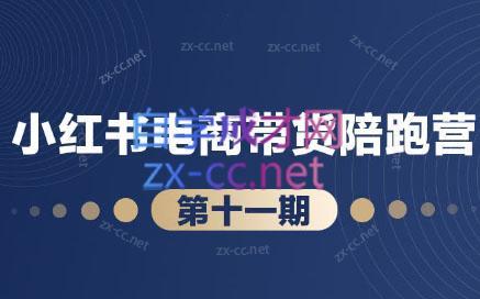 盗坤·小红书电商带货陪跑营(第十一期)|南巷学社