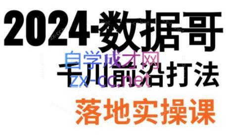 数据哥·2024年千川前沿打法落地实操课|南巷学社