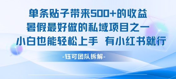 单条贴子带来5张的收益，暑假最好做的私域项目之一，小白也能轻松上手，有小红书就行-创业吧