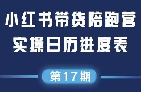 盗坤·抖音小红书视频号短视频带货与直播变现(11-17期)|南巷学社