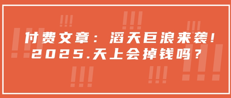 付费文章：滔天巨浪来袭！2025天上会掉钱吗？-创业吧