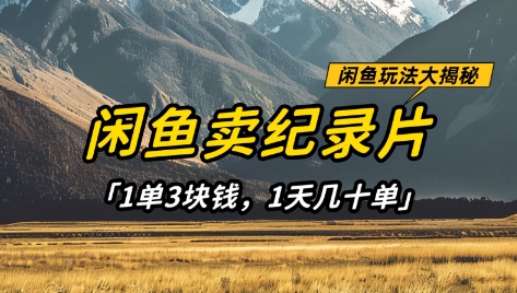 闲鱼卖纪录片1单3块钱，1天几十单，项目稳定有潜力-创业吧