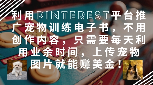 利用Pinterest平台推广宠物训练电子书，不用创作内容，只需要每天利用业余时间，上传宠物图片就能挣美金!-创业吧
