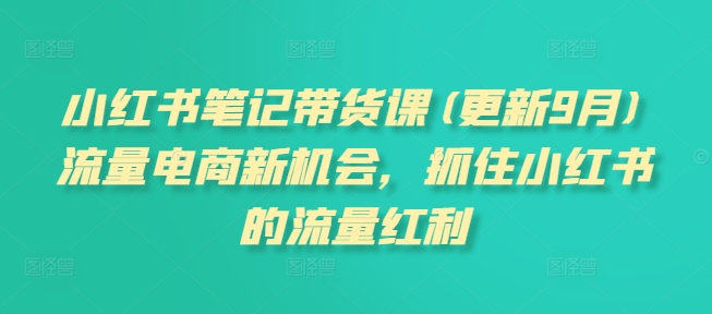 小红书笔记带货课(更新25年6月)流量电商新机会，抓住小红书的流量红利-创业吧