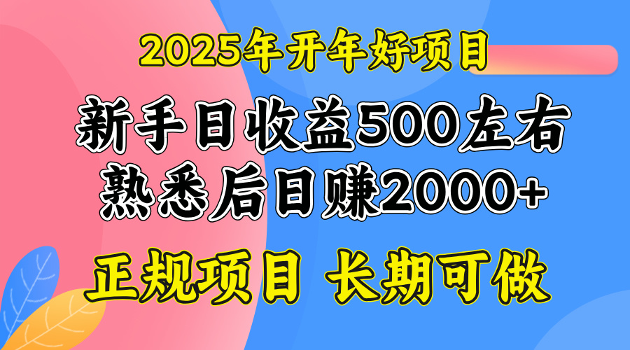 2025开年好项目，单号日收益2000左右-创业吧