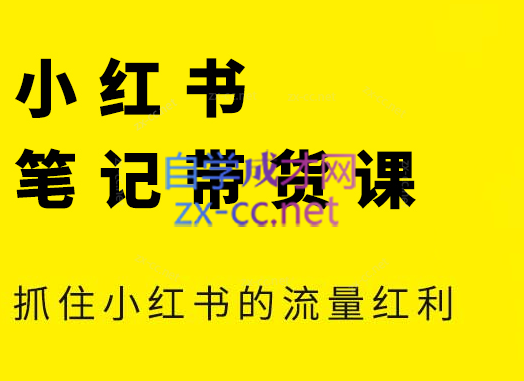 张宾·小红书笔记带货课(更新6月)|南巷学社