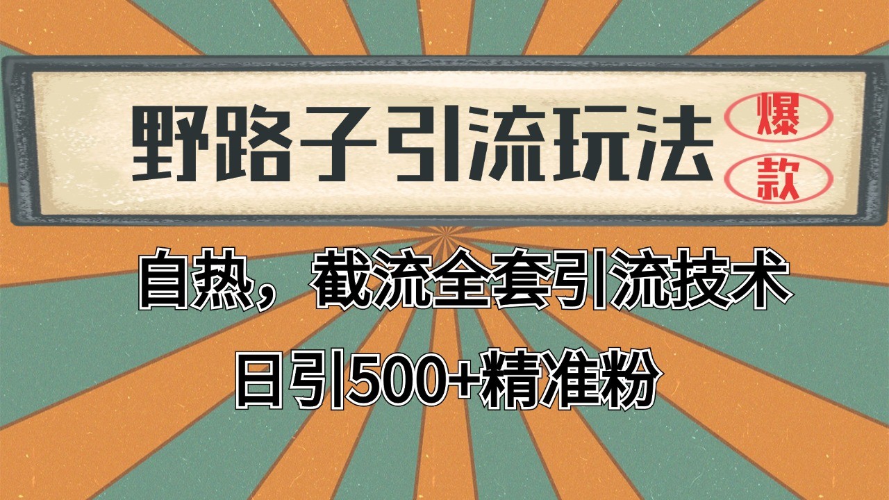 2024首发野路子引流玩法截流自热全平台打法，全自动引流【日引2000+精准客户】-创业吧