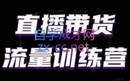 婉婉·直播带货课程系列合集(更新8月)|南巷学社