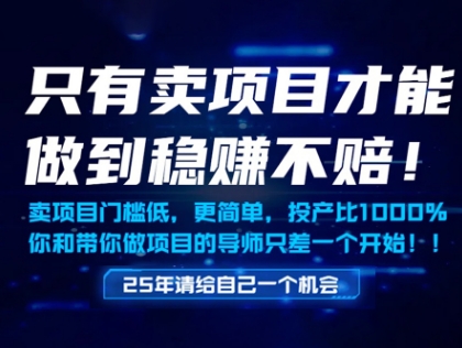 只有卖项目才能做到稳挣不赔，门槛低，更简单，你也可以年入百个W【揭秘】-创业吧