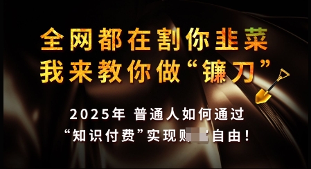 知识付费如何做到月入过W+，2025我来教你做“镰刀”【揭秘】-创业吧