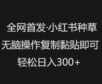 全网首发，小红书种草无脑操作，复制黏贴即可，轻松日入3张-创业吧