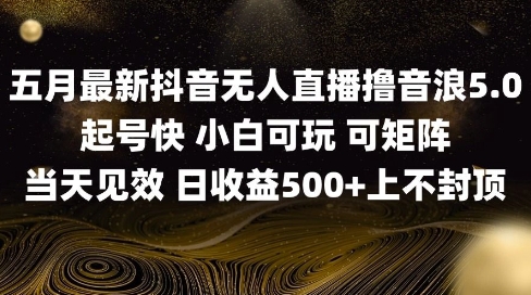 2025五月最新无人直播撸音浪单日产出5张+实操教程【揭秘】-创业吧