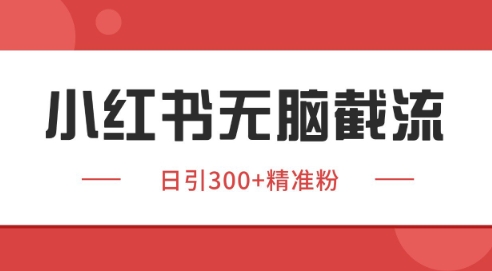 小红书截流同行客源，独家野路子获客玩法 日引200+暴力获客【揭秘】-创业吧