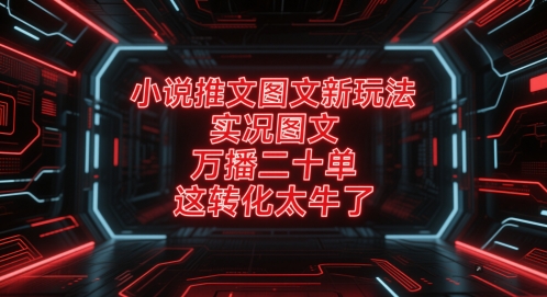小说推文图文新玩法，实况图文，万播二十单，这转化太牛了！-创业吧