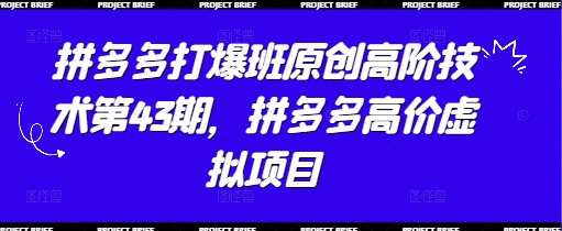 拼多多打爆班原创高阶技术第43期，拼多多高价虚拟项目-创业吧