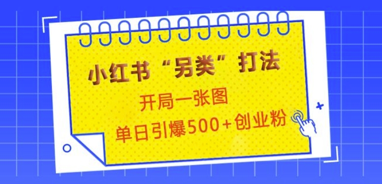 小红书“另类”打法，开局一张图，单日引爆500+精准创业粉【揭秘】-创业吧