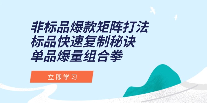 非标品爆款矩阵打法，标品快速复制秘诀，单品爆量组合拳-创业吧