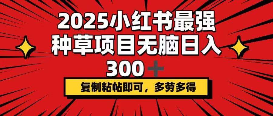 2025小红书最强种草项目，无脑日入300+，复制粘帖即可，多劳多得-创业吧