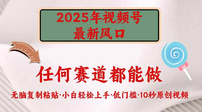 2025年视频号新风口，低门槛只需要无脑执行-创业吧