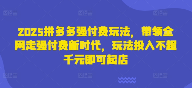 2025拼多多强付费玩法，带领全网走强付费新时代，玩法投入不超千元即可起店-创业吧